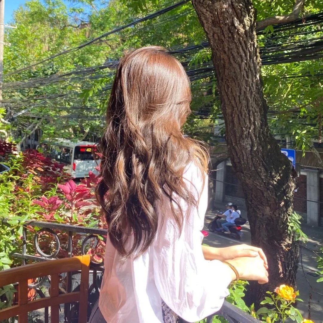春季大赏